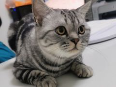-美联众合动物医院·24h转诊中心