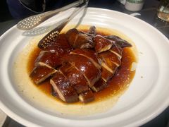 -三强鸽子(中原路店)
