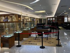 -知音艺术教育培训·钢琴培训·音乐培训(河西金鹰世界校区)