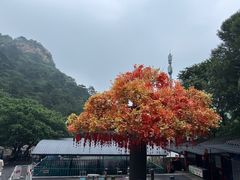 -大芦花风景区