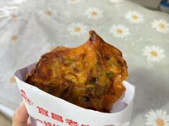 -半月镰胡姐脆皮萝卜饺子