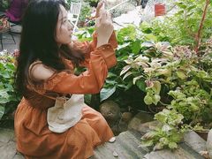 -芽庄日出海滩水疗酒店