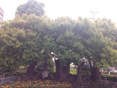 -圣诺亚大厦-地下停车场