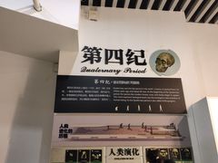 -烟台自然博物馆