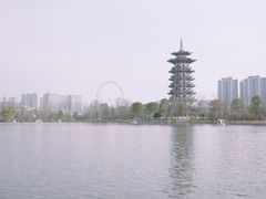 -洋湖国家湿地公园