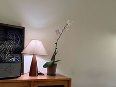 -本無咖啡·BeanWood Coffee