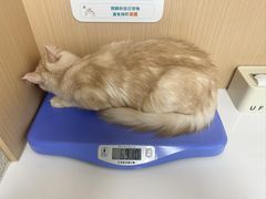 -谐和贝康宠物医院24小时·宠保定点(急重症转诊中心)