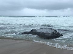 -白沙湾海滩