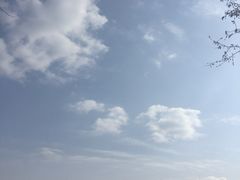 -西安青龙寺遗址景区