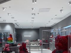 -ROSEONLY诺誓(广州K11店)