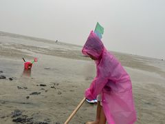 -红树林天天赶海