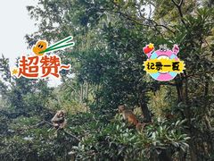 -黔灵山公园