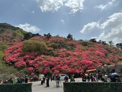 -木兰云雾山