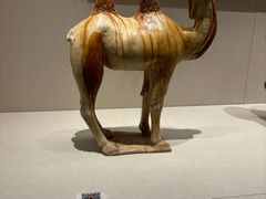 -深圳博物馆(古代艺术馆)