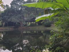 -常德桃花源景区