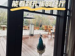-阳朔悦榕庄·明月西餐厅&清风吧