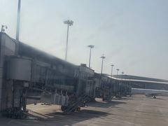 -青岛胶东国际机场