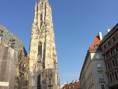-斯蒂芬主教座堂(Stephansdom)