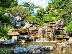 -东莞植物园