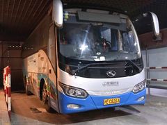 -上海机场-城市航站楼