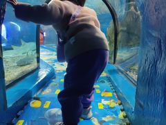 -福州罗源湾海洋世界旅游区