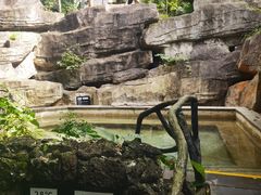 -海口观澜湖火山温泉谷