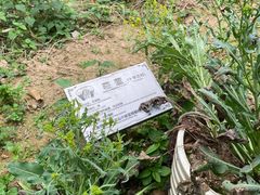 -广州神农草堂中医药博物馆