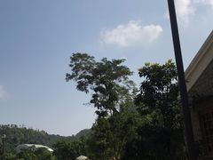 -石排湾郊野公园