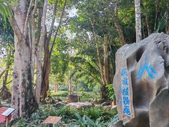 -中国科学院西双版纳热带植物园