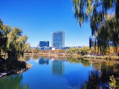 -大兴滨河森林公园