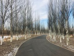-东郊湿地公园