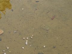 -泰山风景名胜区-普照寺