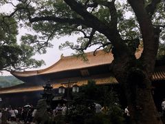 -普陀山慧济禅寺