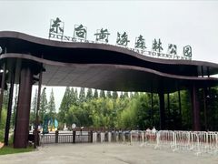 -黄海国家森林公园