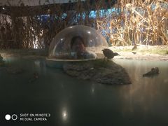 -上海长江河口科技馆