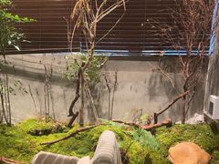 -森SPA·泰式按摩·精油Massage(宝安中心店)