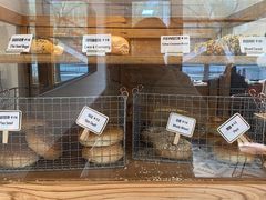 -Catch Bagel(芳草地店)