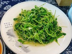 蒜蓉萝卜苗-印象徽州·正宗徽菜体验店