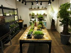 -植觉