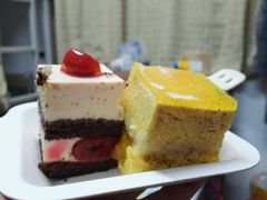 -维尔纳斯·生日蛋糕动物奶油冰淇淋蛋糕(人大店)