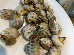 白灼花螺-黄大妈农家菜