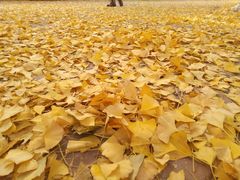 -辽东学院(南校区)