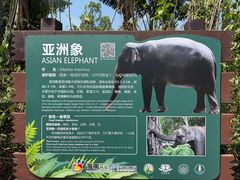 -海南热带野生动植物园