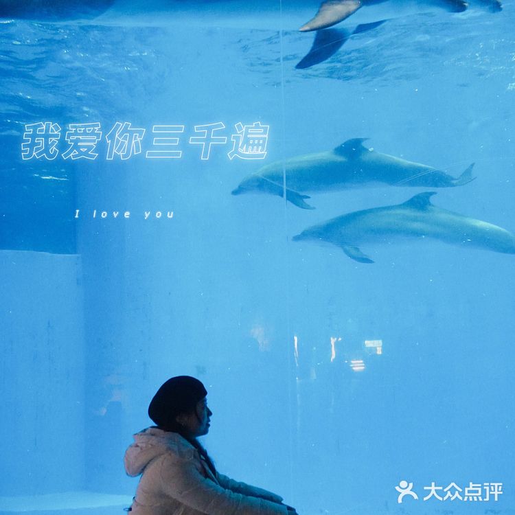 亲子｜成都海昌极地海洋公园不可错过的项目