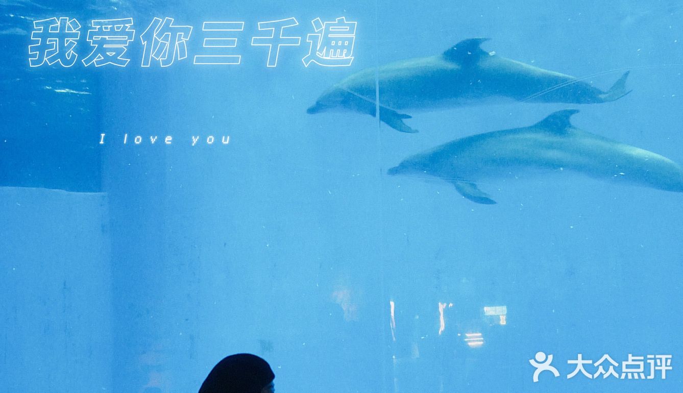 亲子｜成都海昌极地海洋公园不可错过的项目