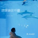 亲子｜成都海昌极地海洋公园不可错过的项目