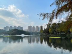 -重庆彩云湖湿地公园