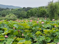 -南北湖风景区