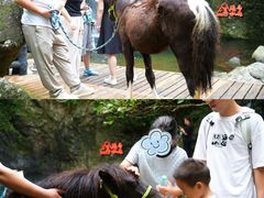 -宁波五龙潭景区