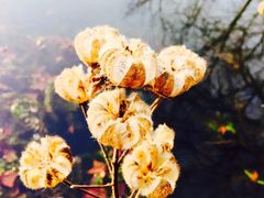 -杭州龙禧福朋喜来登酒店